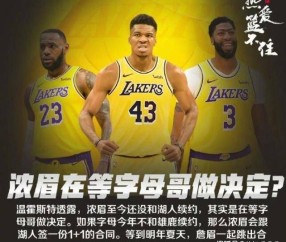 12, 湖人签约自由市场顶级3D球员  